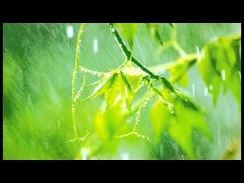 10 Minutes of relaxing rain sounds for Meditation. Ideal for Beginners