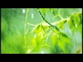 10 Minutes of relaxing rain sounds for Meditation. Ideal for Beginners
