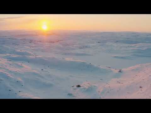 pexels yaroslav shuraev 6878238