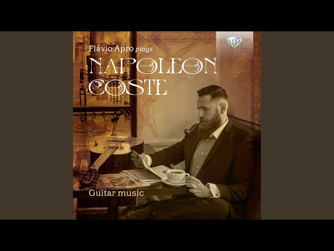 Grande Sérénade for Guitar, Op. 30: II. Allegro