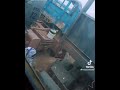 Iskanci Zallah Direba Yanacin Me Tallar Maganin Shakagwada