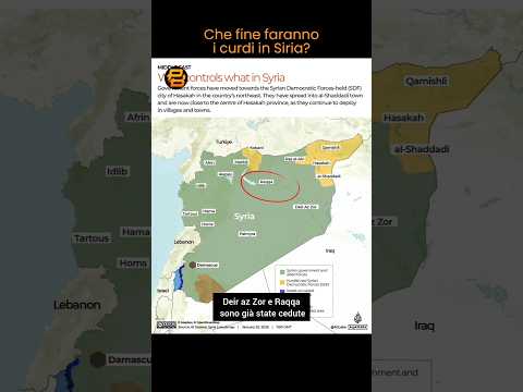 Che FINE faranno i CURDI?