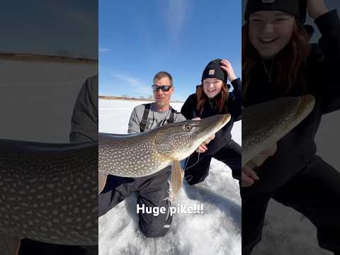 Big pike caught by Quinn!!!  Guiding availability and pricing at www.Fishinggeeks.net #fishshimano