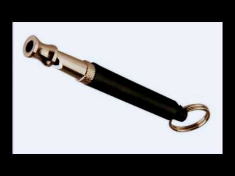 SILENT DOG WHISTLE 5 HOURS (19,999HZ)