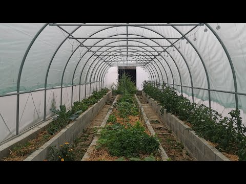 Système d'arrosage automatique et sans électricité pour serre