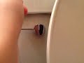 Toilet Flush Sound Effect
