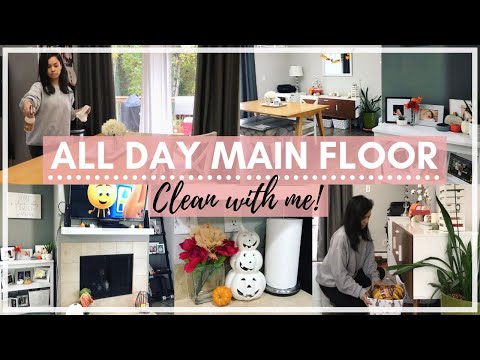 ALL DAY CLEAN WITH ME 2019 | ENTIRE MAIN FLOOR | SERIOUS CLEANING MOTIVATION