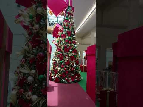 #shortvideo #shorts #short #brasil #christmas #feliznatal #navidad #brasil #varginha #beautiful #art