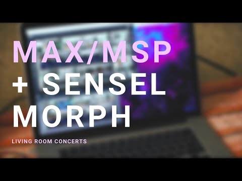 Living Room Concerts: MaxMSP + Sensel Morph Duo | Sarah Belle Reid and Ryan Gaston