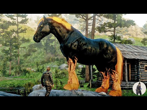 🔥 Arthur Morgan Tames a Massive Black Horse with Shimmering Gold Feet at O'Creagh's Run! 🐎✨
