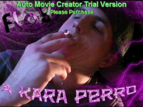 FLAY - A KARA PERRO (LA RIBE BROS)