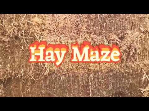 Hay maze with kids