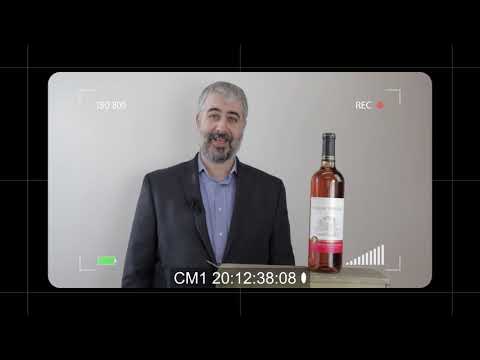 BLOOPER REEL & Introducing NEW Kosher Wine Guide