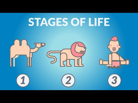 Nietzsche — The 3 Stages of Life