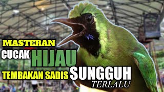 Download lagu cucak ijo tembakan sadis dan isian kuntilanak mp3