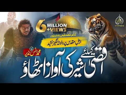 Muhammad Anas Nazeer and 2 more