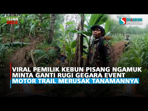 Viral Pemilik Kebun Pisang Ngamuk Minta Ganti Rugi Gegara Pemotor Trail Merusak Tanamannya
