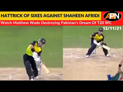 AUS VS PAK: Matthew Wade Destroys Shaheen Afridi & Pakistan's Dream Of T20 WC By A Hattrick Of Sixes