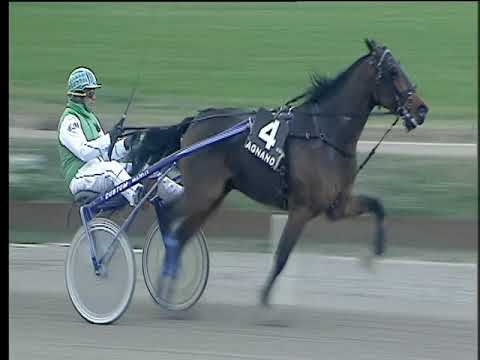 Trotto 01/12/2017 - 3ª corsa