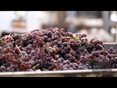 download lagu mp3 mp4 Pedro Ximenez, download lagu Pedro Ximenez gratis, unduh video klip Pedro Ximenez