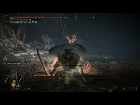 Elden Ring NG+6 | Malenia | Dex/Int Build | Dual Moonveil