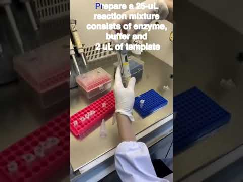 Loop-mediated isothermal amplification (LAMP) step-by-step