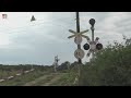 Trecere La Nivel Cu Calea Ferată Scoarța RO 6 8 2025 Žel Přejezd Romanian Railroad Crossing
