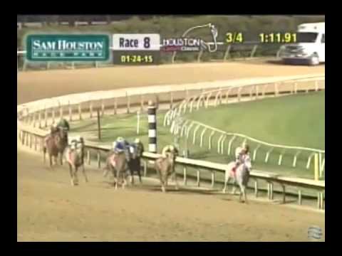 Cassatt - 2015 Houston Ladies Classic Stakes - First Place Finish