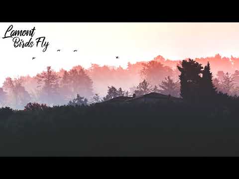 Lamont - Birds Fly