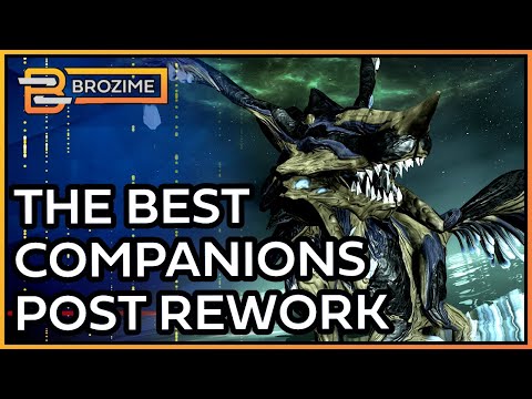 Top 10 Best Warframe Companions of 2024