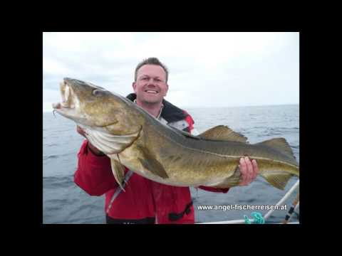 Kurzfilm Seter Brygge