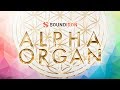 Video 1: Alpha Organ Trailer
