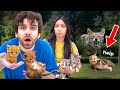 I TRIED to RESCUE 5 Abandoned Kittens From a COYOTE ATTACK... (sad)