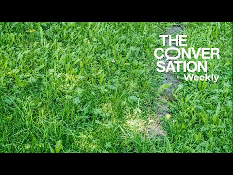 Inequalities: The Unseen Forces Shaping Our World | Painted Clothes