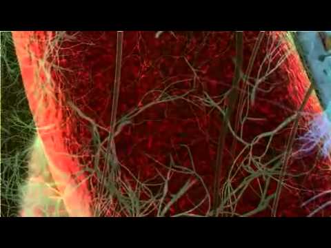 Se helminths al pesce sono pericolosi loro Trattamento di rimedi di gente di vermi a bambini