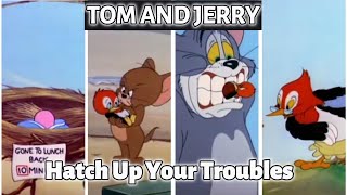 Download lagu Tom and jerry, Hatch Up Your Troubles | last part | tom and jerry cartoon | cartoon tom and jerry mp3