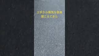 土手沿いを散歩中に突然音楽が… #癒し #散歩 #土手 #トランペット #walking #music