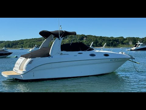 Sea Ray 260 Sundancer 2003