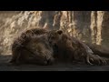 The Lion King Stromae Papaoutai Remix
