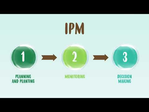 INTEGRATED PEST MANAGEMENT – IPM