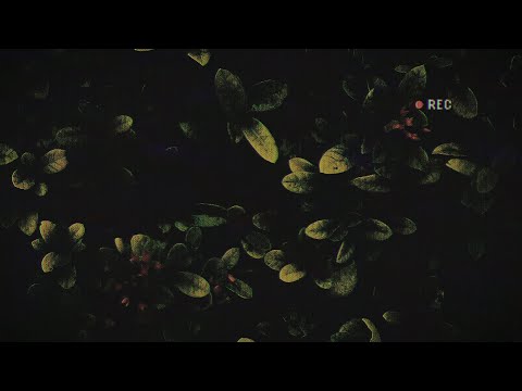 Beolost - The Rest Is Silence