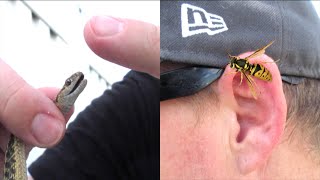 🐍BIT BY SNAKE STUNG BY WASP🐝! DANGEROUS ENCOUNTERS | DYCHES FAM