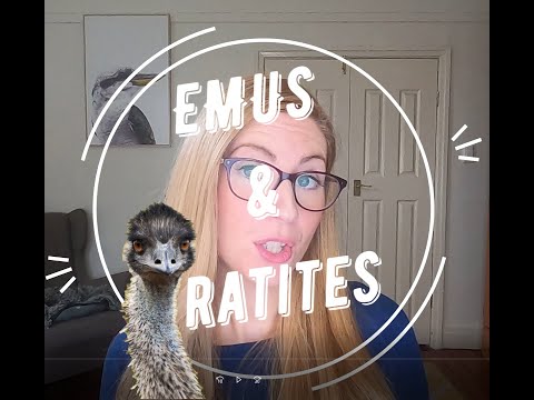 Emus & Ratites