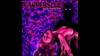 CANCERSLUG    "D.  I.  L.  L.  I.  G.  A.  F."   2018 home demo recording