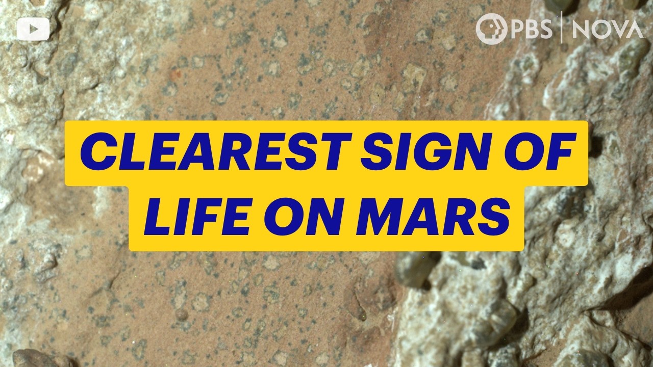 Signs of Life on Mars? NASA's Discovery, Explained | NOVA | PBS