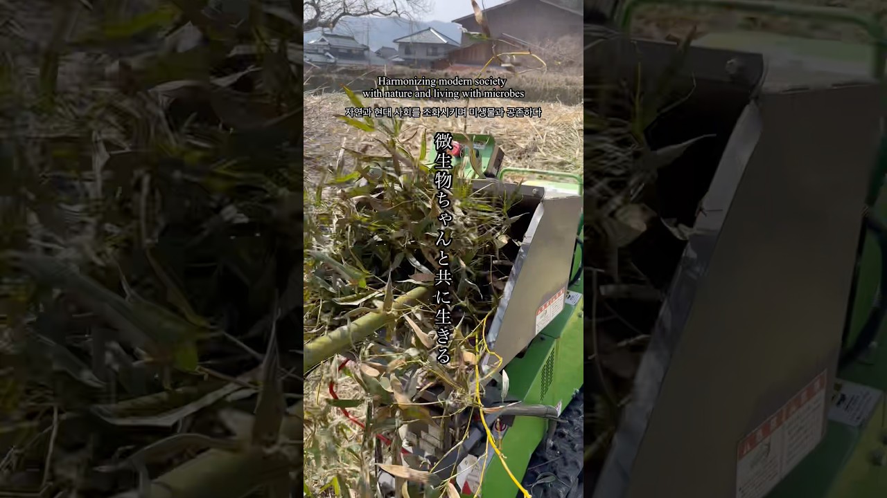 大地の再生竹藪整備、自然と共に生きる