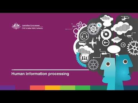 Human factor for pilots - Human information processing