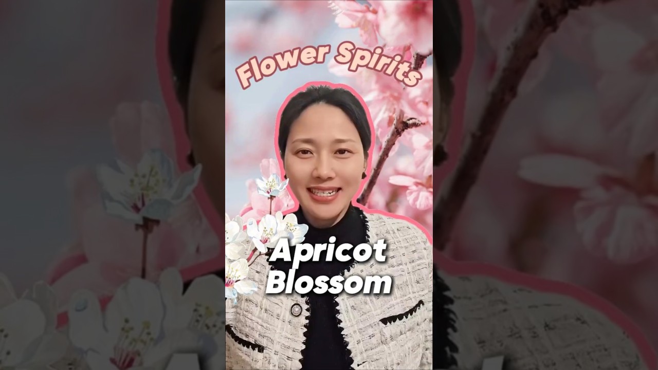 12 flower Spirites-杏花