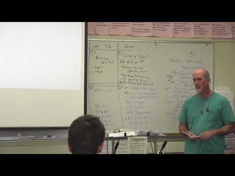 Shakespearean Tragedy's Roots in Ancient Greek Drama (Part 2 of 2)