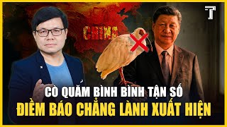 VÌ SAO CÁI CHẾT CỦA CỤ CÒ QUĂM BÌNH BÌNH KHIẾN CƯ DÂN MẠNG TRUNG QUỐC DẬY SÓNG? 